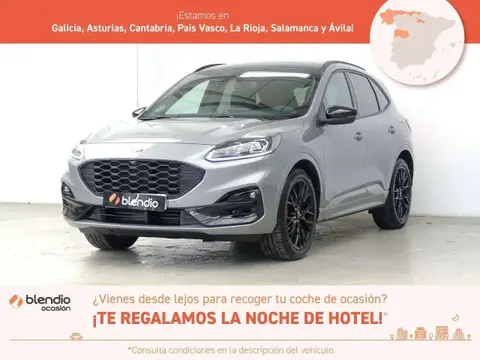 Annonce FORD KUGA Essence 2023 d'occasion 