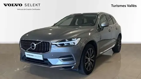 Annonce VOLVO XC60 Hybride 2020 d'occasion 