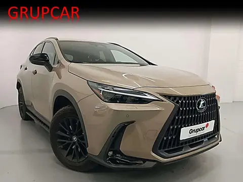 Used LEXUS NX Hybrid 2024 Ad 