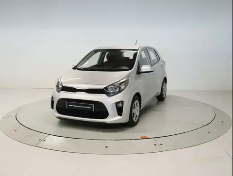 Used KIA PICANTO Petrol 2023 Ad 