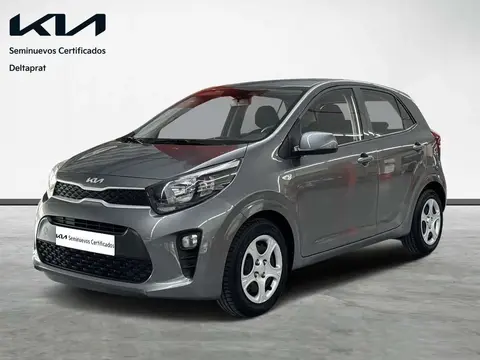 Used KIA PICANTO Petrol 2023 Ad 