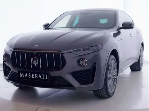 Used MASERATI LEVANTE Diesel 2019 Ad 