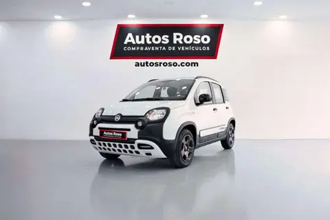 Annonce FIAT PANDA Essence 2019 d'occasion 