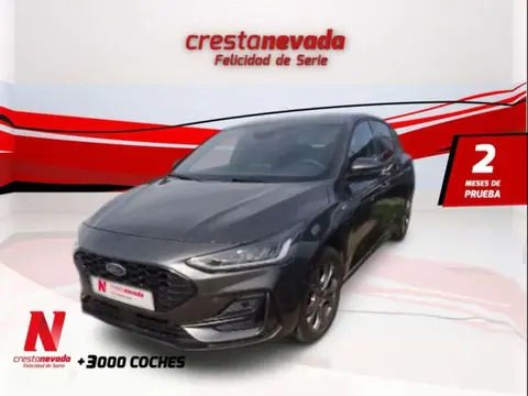 Annonce FORD FOCUS Hybride 2022 d'occasion 