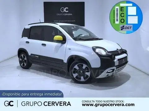 Annonce FIAT PANDA Essence 2024 d'occasion 