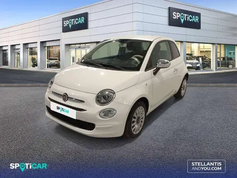 Used FIAT 500 Petrol 2023 Ad 