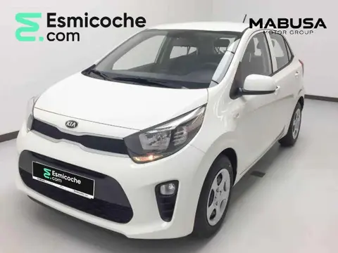 Annonce KIA PICANTO Essence 2021 d'occasion 