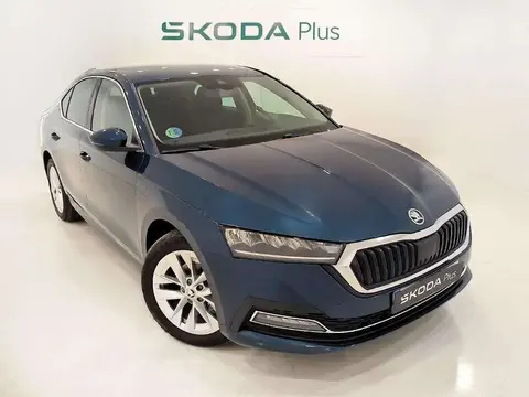 Used SKODA OCTAVIA Petrol 2023 Ad 