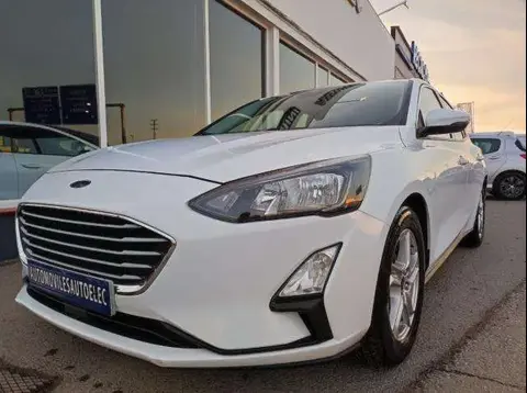 Used FORD FOCUS Diesel 2019 Ad 