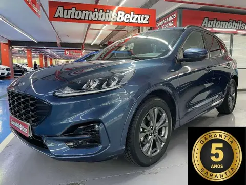 Annonce FORD KUGA Essence 2022 d'occasion 