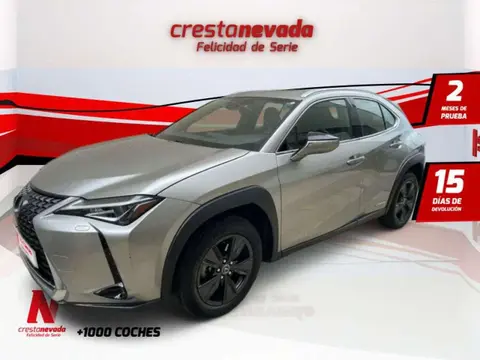 Annonce LEXUS UX Hybride 2022 d'occasion 