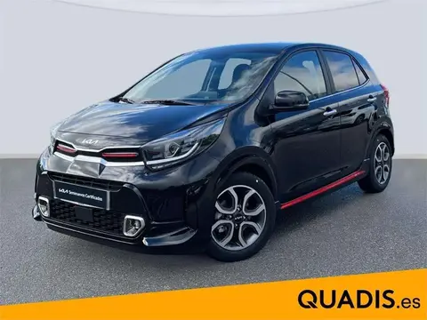 Used KIA PICANTO Petrol 2024 Ad 