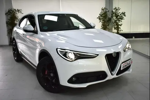 Used ALFA ROMEO STELVIO Diesel 2019 Ad 