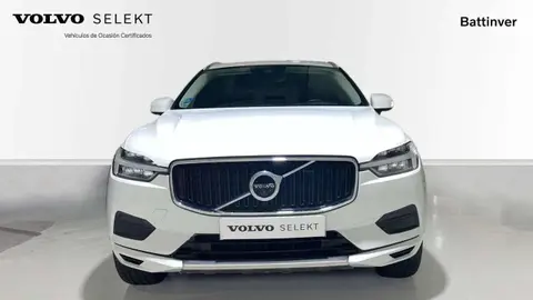 Annonce VOLVO XC60 Diesel 2019 d'occasion 