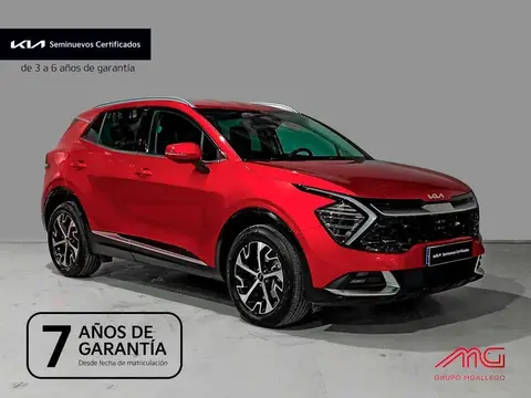 Annonce KIA SPORTAGE Essence 2024 d'occasion 