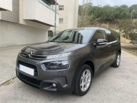 Used CITROEN C4 Diesel 2019 Ad 