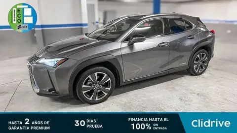 Used LEXUS UX  2021 Ad 