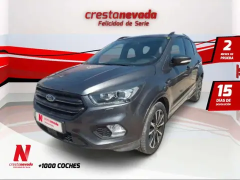 Used FORD KUGA Diesel 2018 Ad 