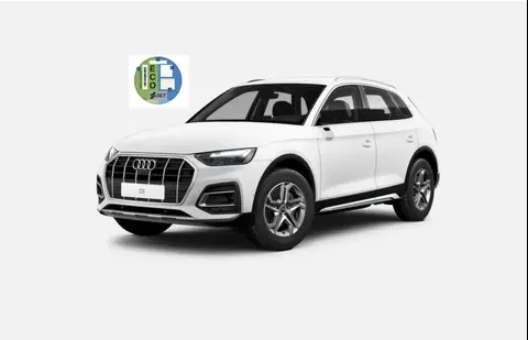 Used AUDI Q5 Diesel 2024 Ad 