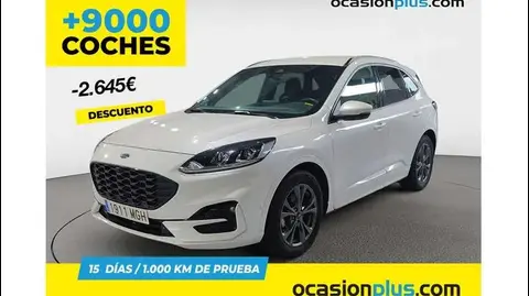 Used FORD KUGA Hybrid 2023 Ad 