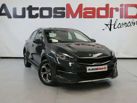 Used KIA XCEED Petrol 2022 Ad 