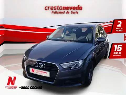 Annonce AUDI A3 Diesel 2016 d'occasion 