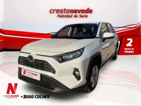 Used TOYOTA RAV4 Hybrid 2020 Ad 