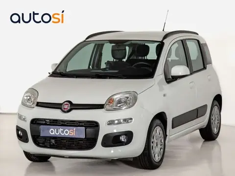 Annonce FIAT PANDA Essence 2019 d'occasion 