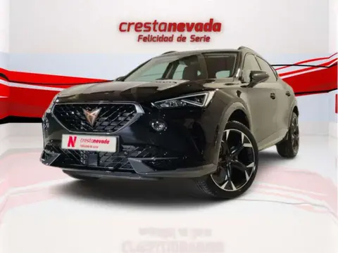 Used CUPRA FORMENTOR Petrol 2024 Ad 