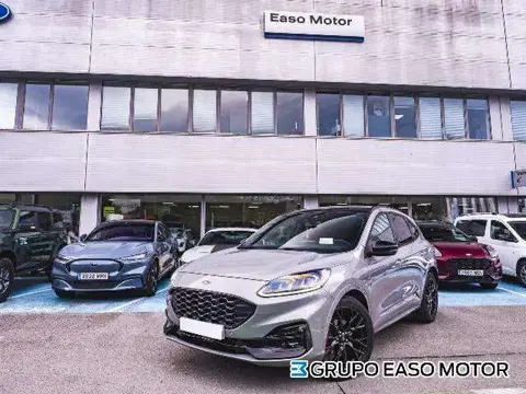 Used FORD KUGA Petrol 2022 Ad 