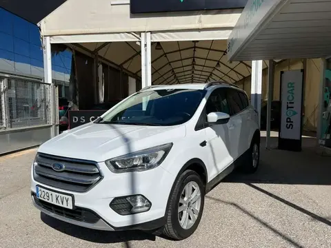 Used FORD KUGA Petrol 2019 Ad 