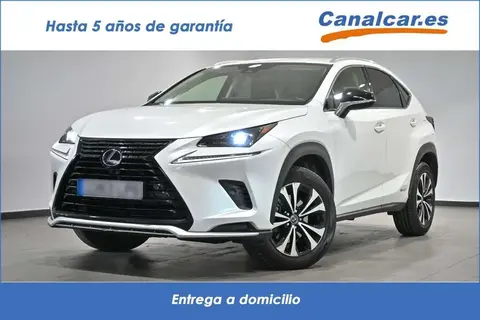 Used LEXUS NX Hybrid 2021 Ad 