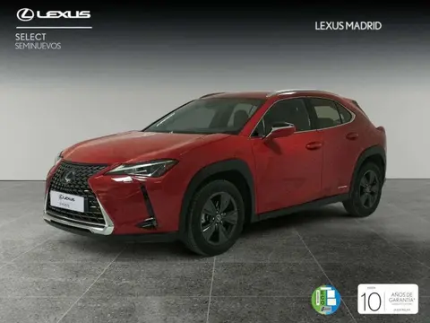 Used LEXUS UX Hybrid 2020 Ad 