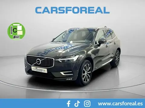 Annonce VOLVO XC60 Diesel 2019 d'occasion 