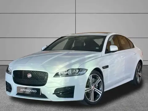 Used JAGUAR XF Diesel 2018 Ad 