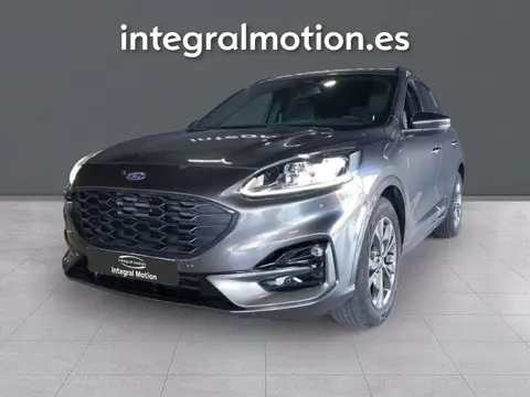 Annonce FORD KUGA Essence 2022 d'occasion 