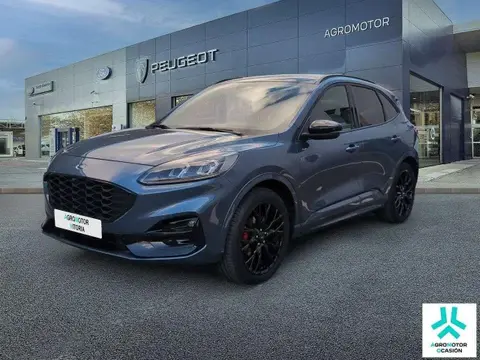 Used FORD KUGA Petrol 2022 Ad 