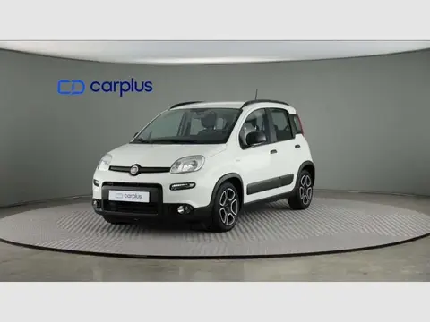 Annonce FIAT PANDA Essence 2021 d'occasion 