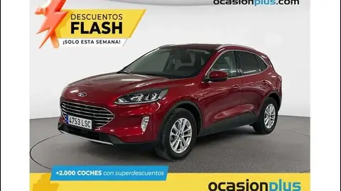 Used FORD KUGA Diesel 2021 Ad 