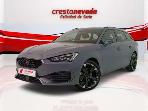 Used CUPRA LEON Petrol 2024 Ad 