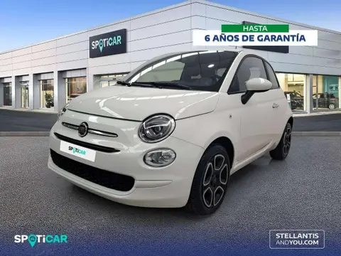 Used FIAT 500 Petrol 2023 Ad 