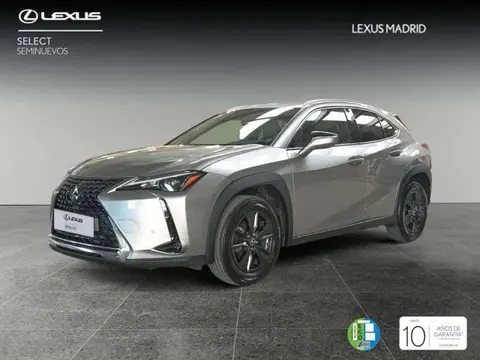 Annonce LEXUS UX Hybride 2024 d'occasion 