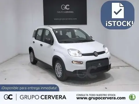 Annonce FIAT PANDA Essence 2024 d'occasion 