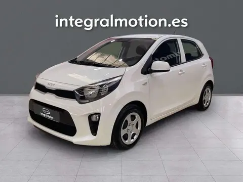 Used KIA PICANTO Petrol 2023 Ad 