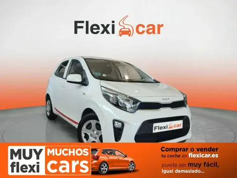 Used KIA PICANTO Petrol 2023 Ad 