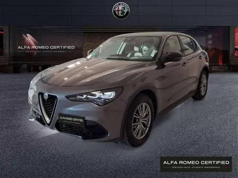 Used ALFA ROMEO STELVIO Diesel 2023 Ad 