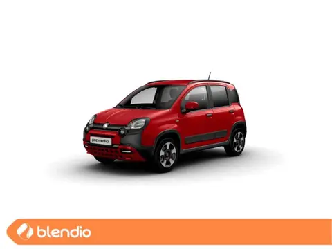 Used FIAT PANDA Hybrid 2024 Ad 