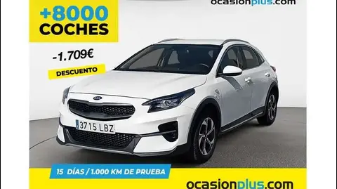 Used KIA XCEED Diesel 2019 Ad 