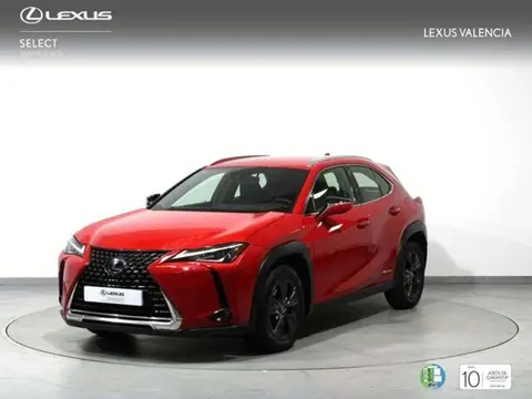 Annonce LEXUS UX Hybride 2019 d'occasion 