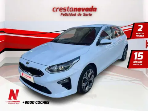 Annonce KIA CEED Essence 2019 d'occasion 